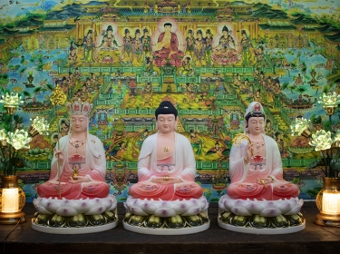 Tượng Phật Composite Đài Loan: Lý Do Khiến Nhiều Người Săn Đón