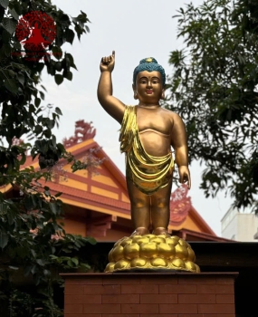Tượng Phật Đản Sanh 1066