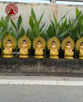 Tượng Phật Dược Sư 11